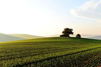 Agricoltura biologica - Foto di congerdesign da Pixabay