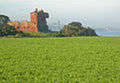 Agricultural field - Foto di C Michael Hogan